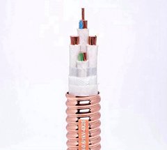 冠纜電纜YTTW柔性礦物質(zhì)電纜